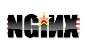 Logotipo de nginx