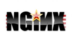 logo nginx