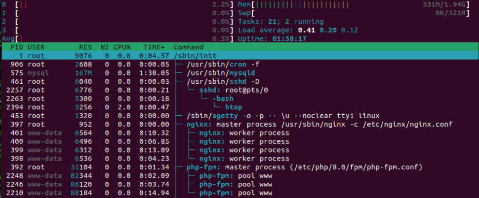 Wordpress-Blog zuhause hosten in 3 Schritten htop nginx home