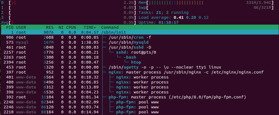 htop nginx home